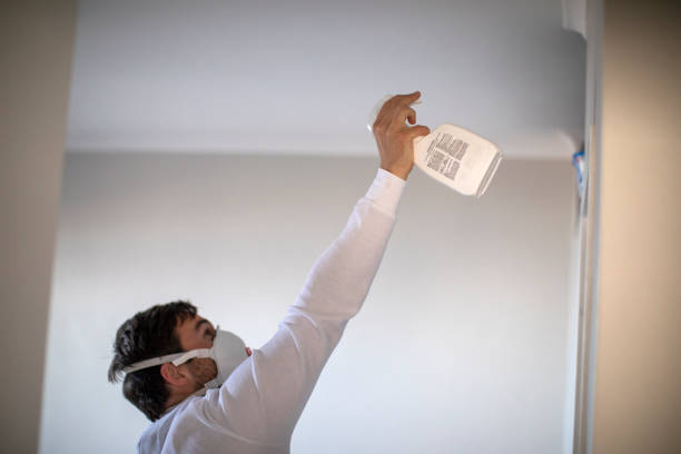 Best White Mold Remediation in Susanville, CA