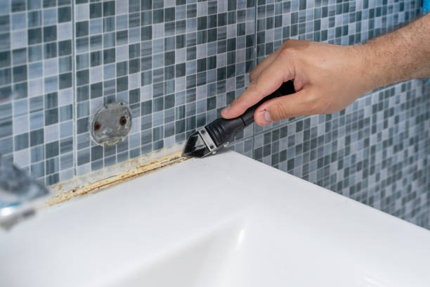 Susanville, CA Mold Remediation Company